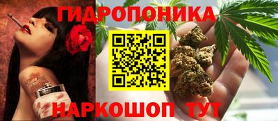шишки Донецк